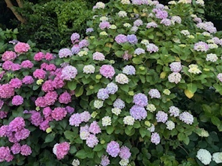 image6.jpeg